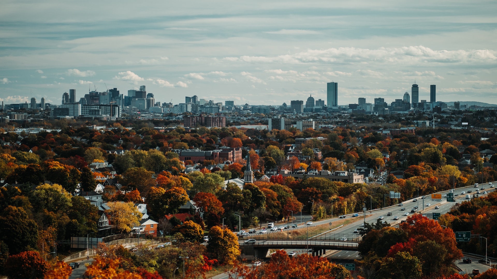 trees, the city of Boston in the background
