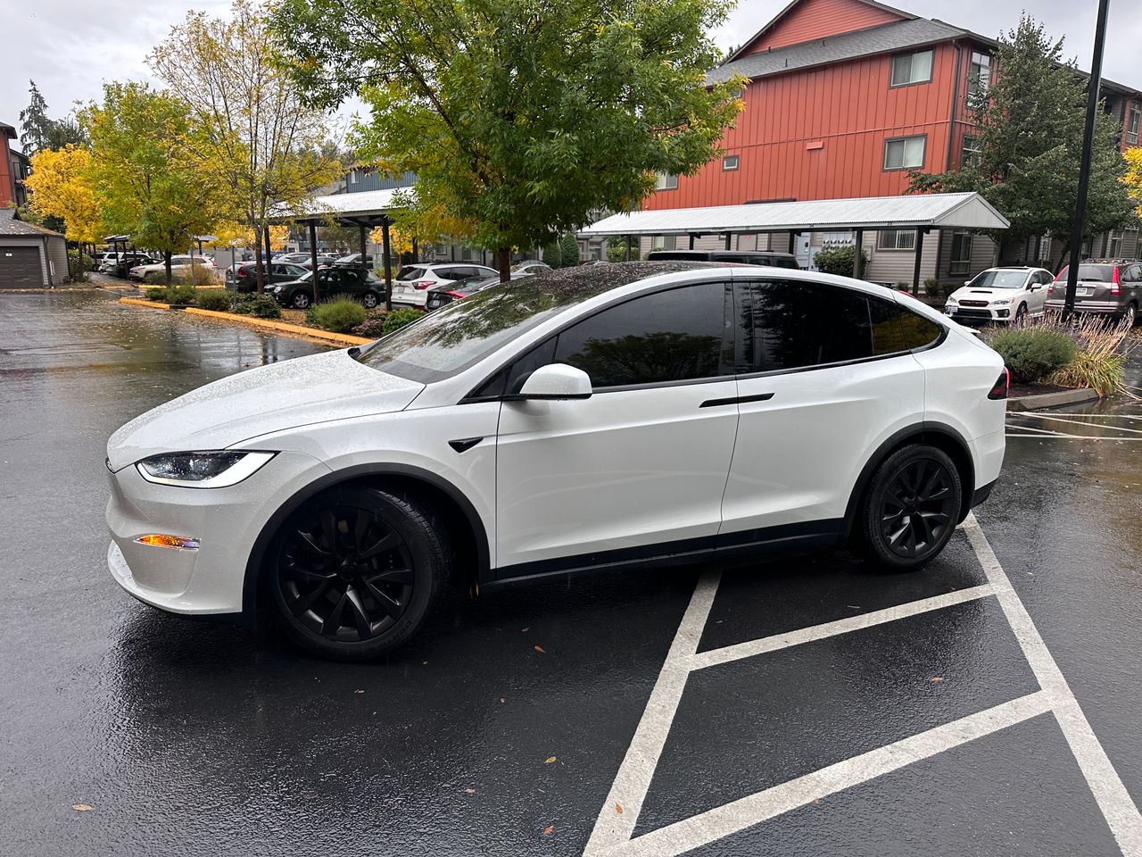 Professionally tinted car window