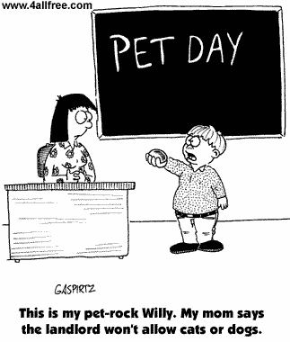 Comic, pet rock