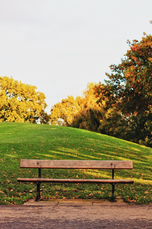 park, bench