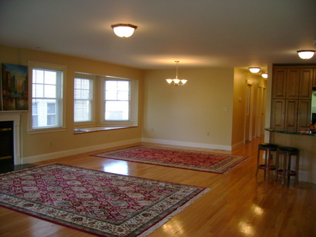 Open Living , gas fireplace, t