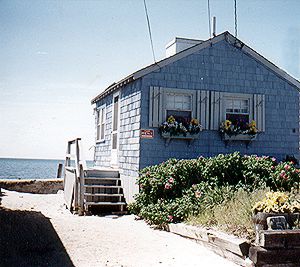 CAPE COD - 1 BEDROOM -  1  BATHROOM - $1200 - NO FEE  -