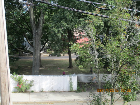 Views of Park