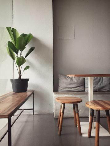 plant on a table, stools, sofa, table