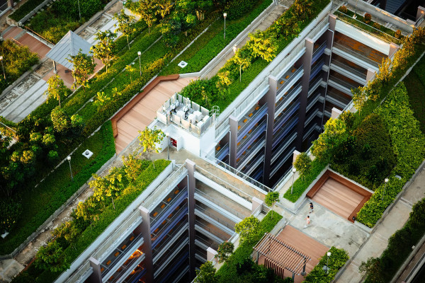 a building with plants and gras on the roof