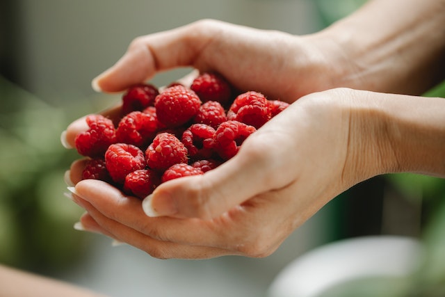 Raspberies in hands