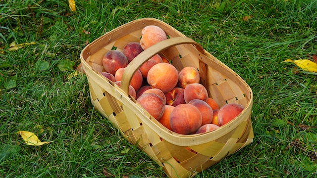 praches in a basket