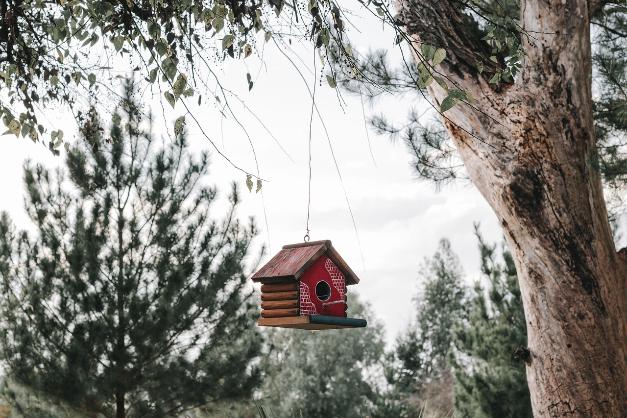 Birdhouse hnaing in a tree. Image by Pixabay