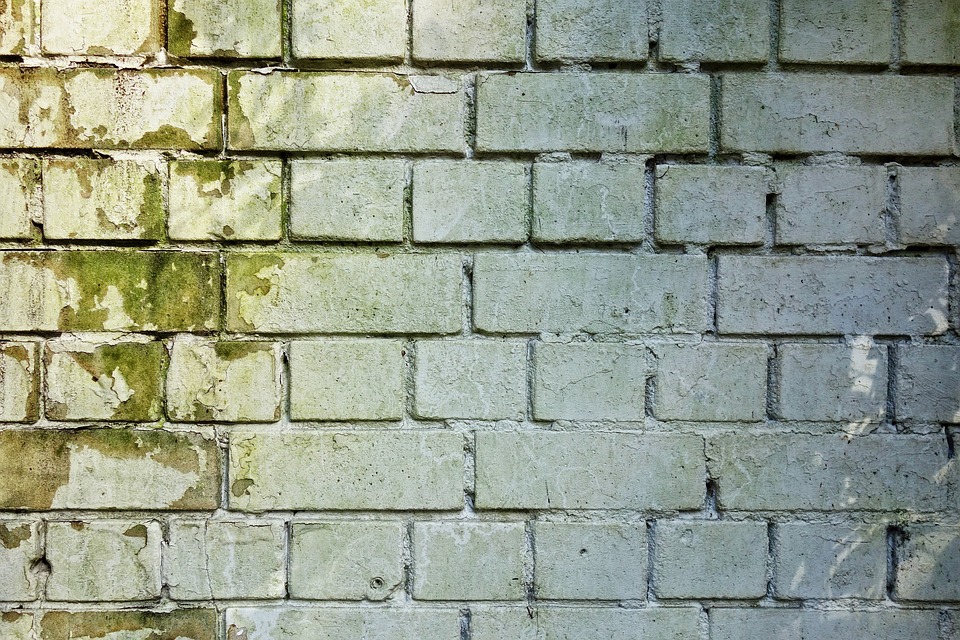 brick wall