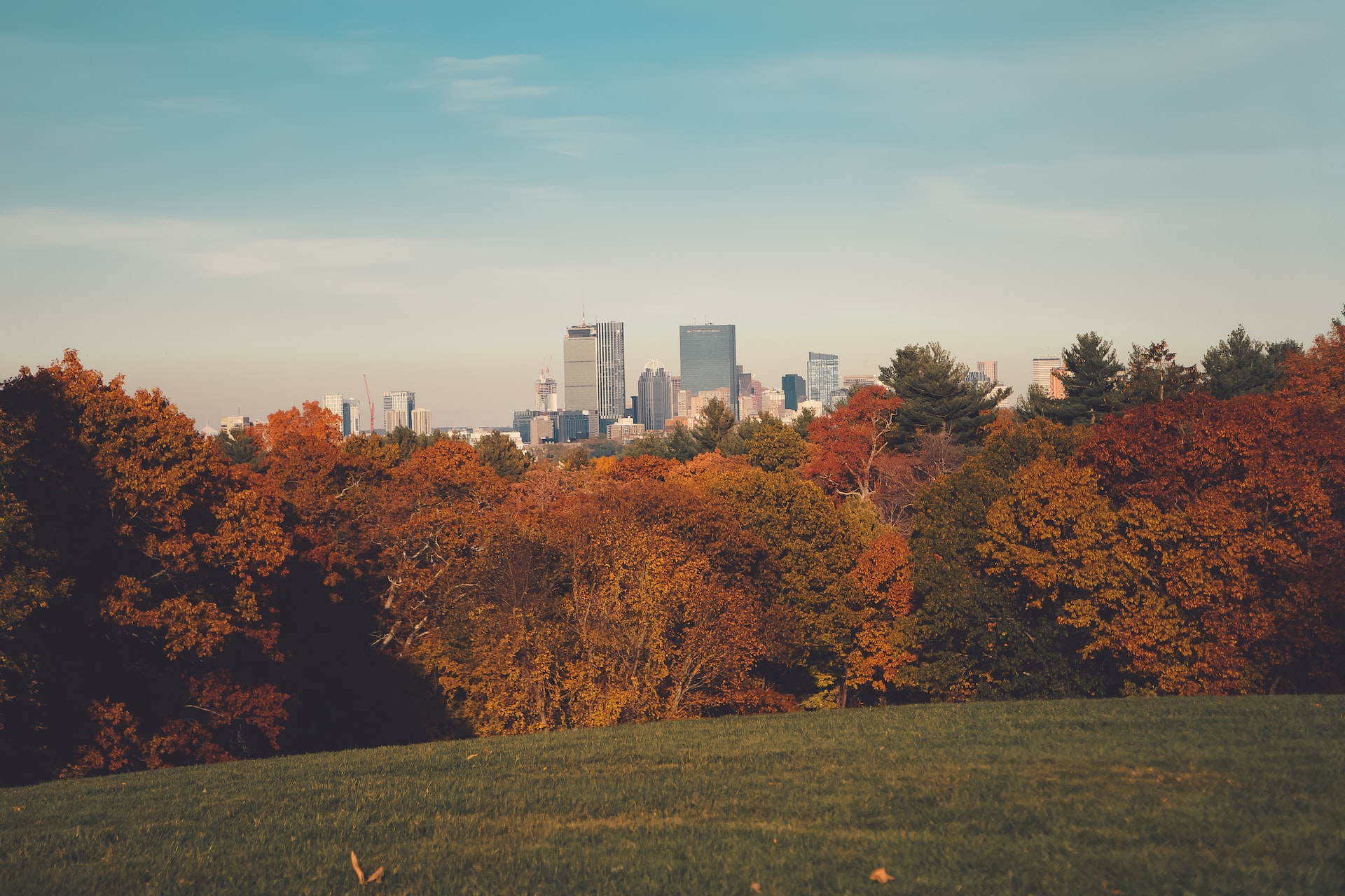 Boston Skyline from Larz Park in Brookline MA