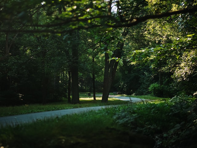 Emerald Necklace, Boston