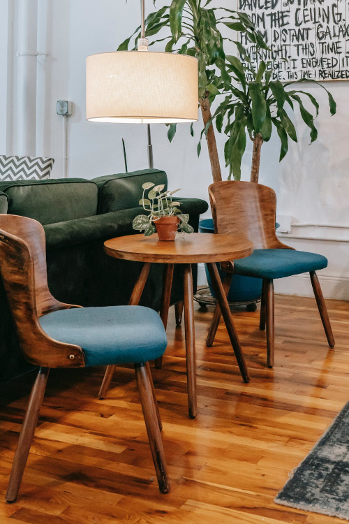 Chairs, table and plants