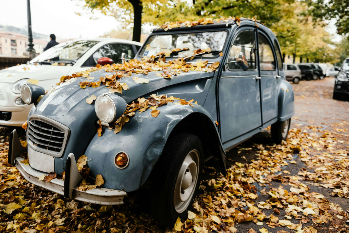Cars covered in leaves. Image by Pexels