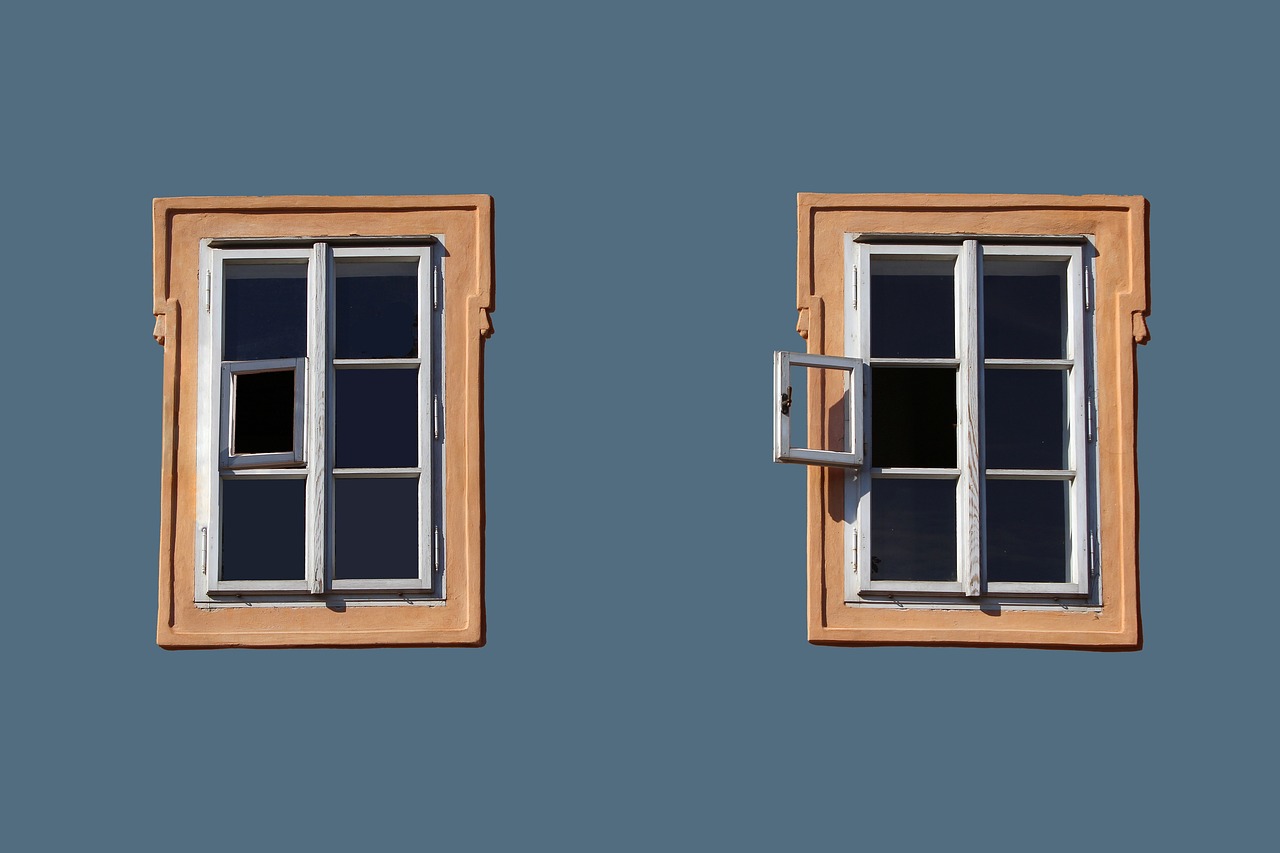 blue house with two windows