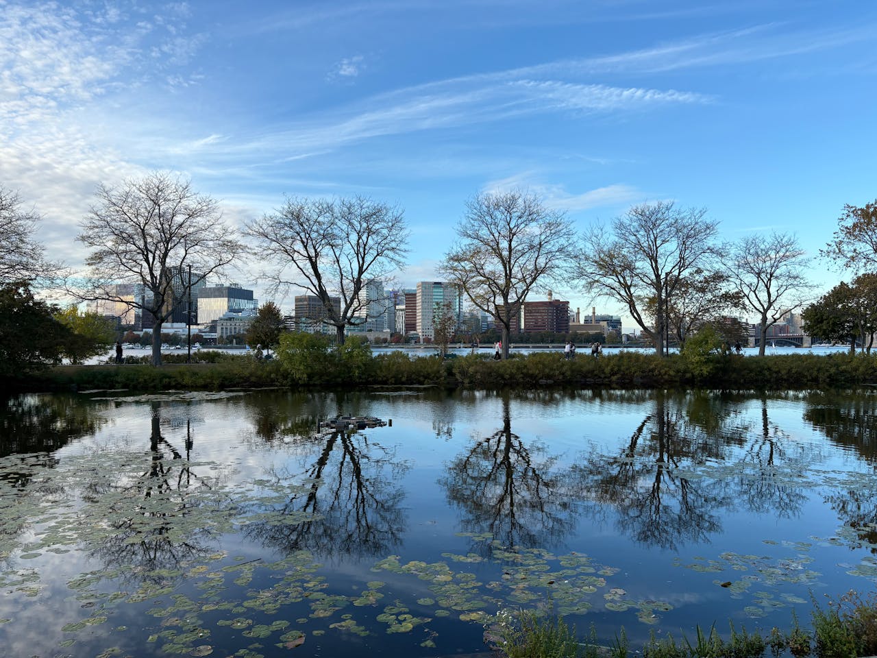 Charles River, Boston. Image by Pixabay