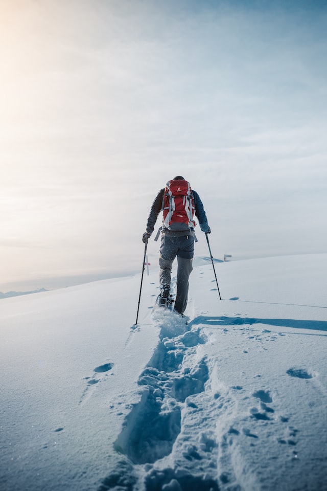 Skiing Cross Country