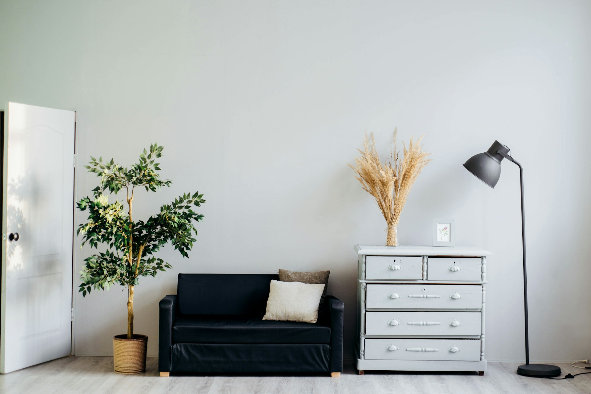 Sofa, dresser, faux plants. Image by Unsplash