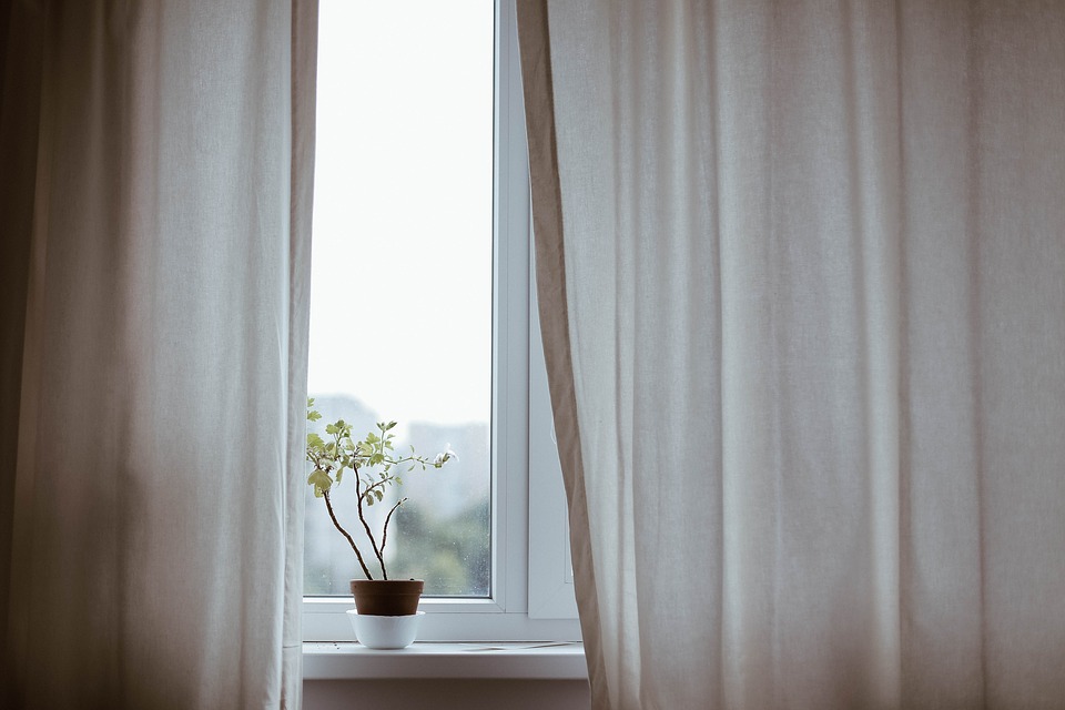 White curtains, one small plant in a window