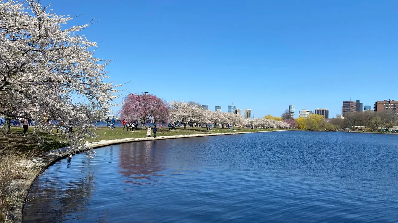 Esplanade, Charles River