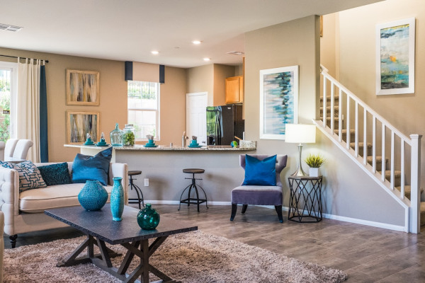 Kitchen, livingroom, décor
