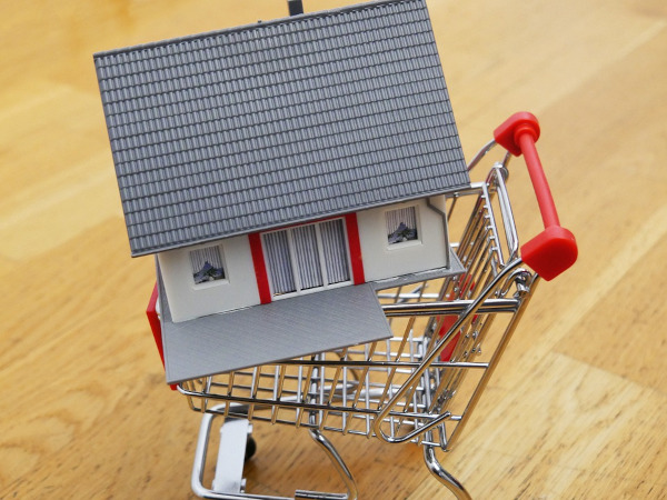 House in a shopping cart