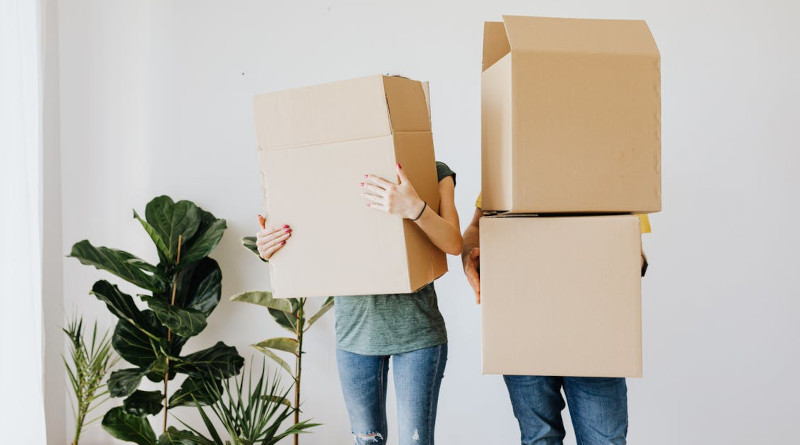 People carrying boxes, plants