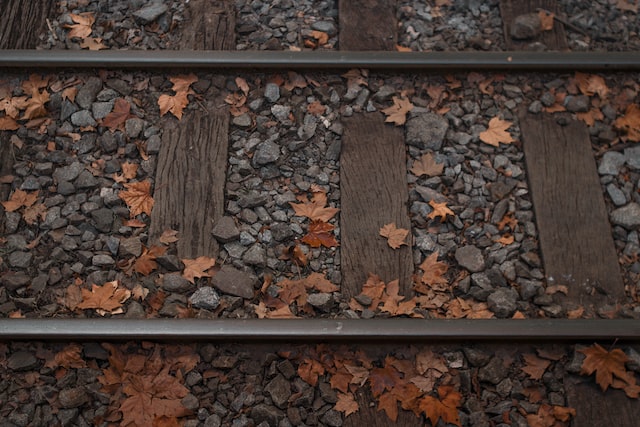 railroad tracks, fall leaves