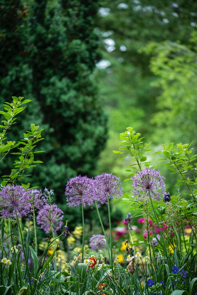 various flowers