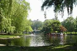 Boston Public Garden