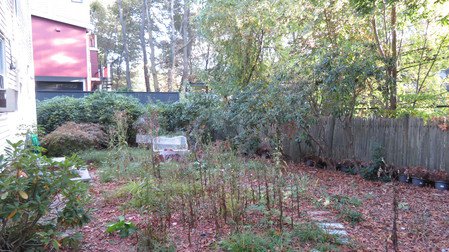 Yard and Patio Area