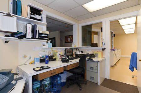 Photo 5