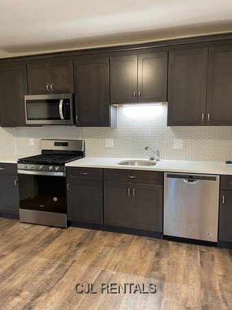 Waltham - GORGEOUS RENOVATED Waltham 2 bed - 5 rooms - MUST SEE- Washer & dryer IN UNIT!