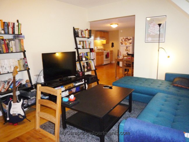 Photo 7