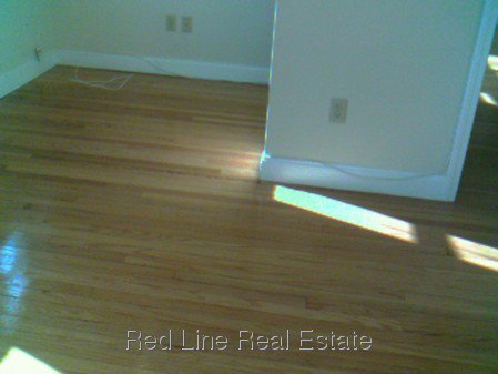 1 Bedroom Apartment for Rent in Somerville - Winter Hill, MA