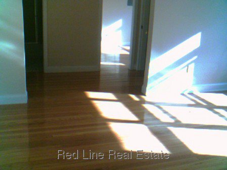1 Bedroom Apartment for Rent in Somerville - Winter Hill, MA