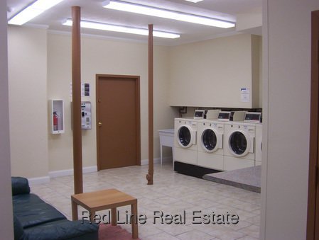 1 Bedroom Apartment for Rent in Somerville - Winter Hill, MA