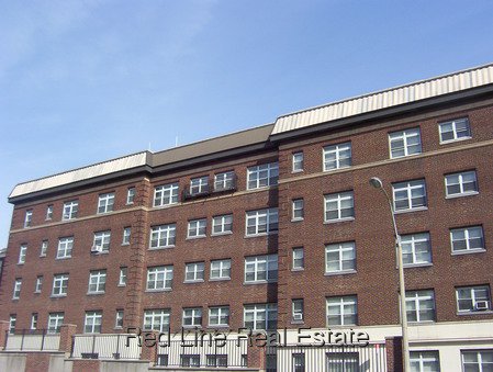 1 Bedroom Apartment for Rent in Somerville - Winter Hill, MA