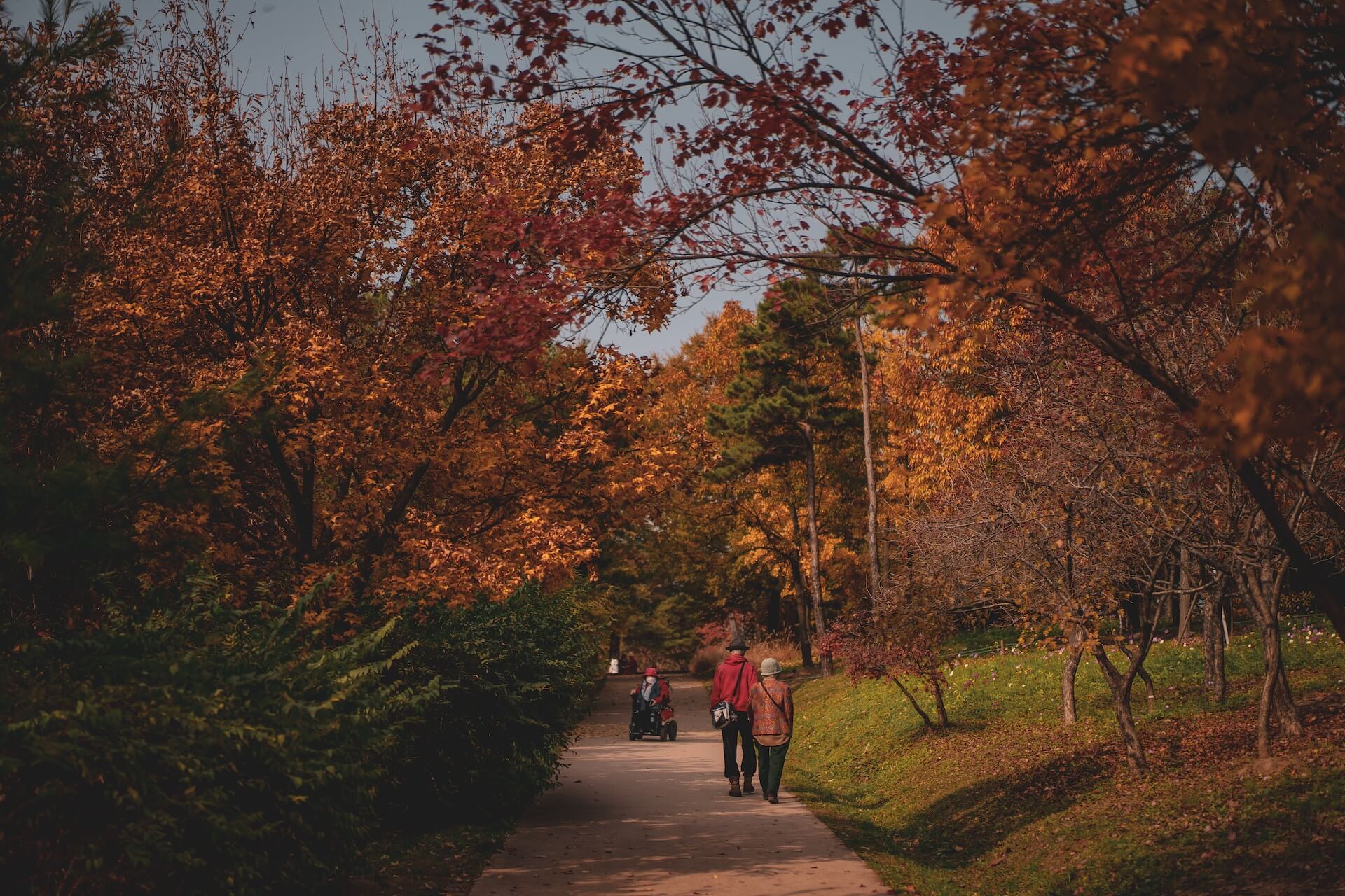 people walking on a path