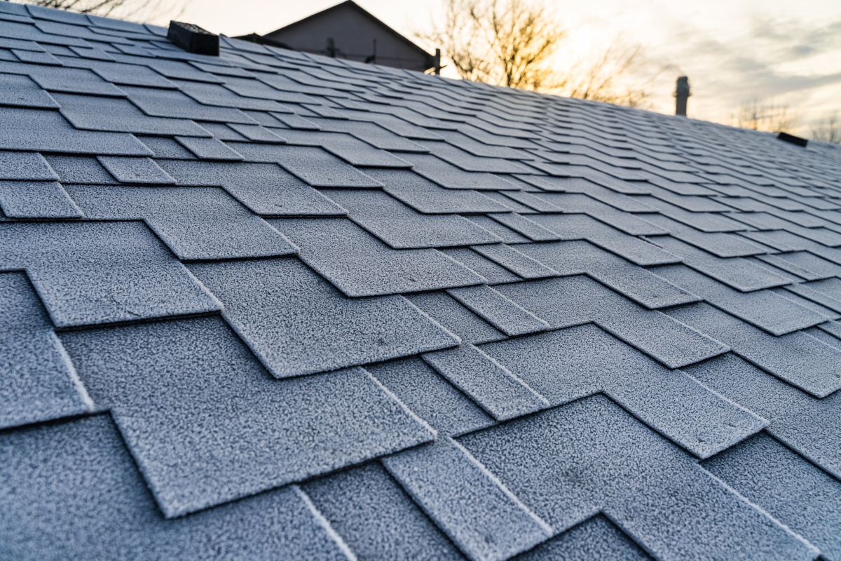 Red brick roof top. Image by Unsplash