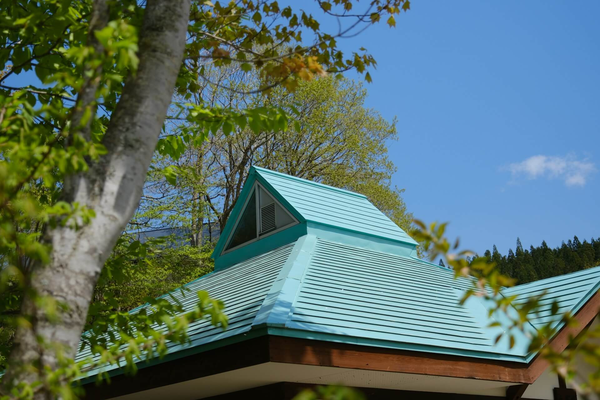 A blue metal roof with a tree in the background