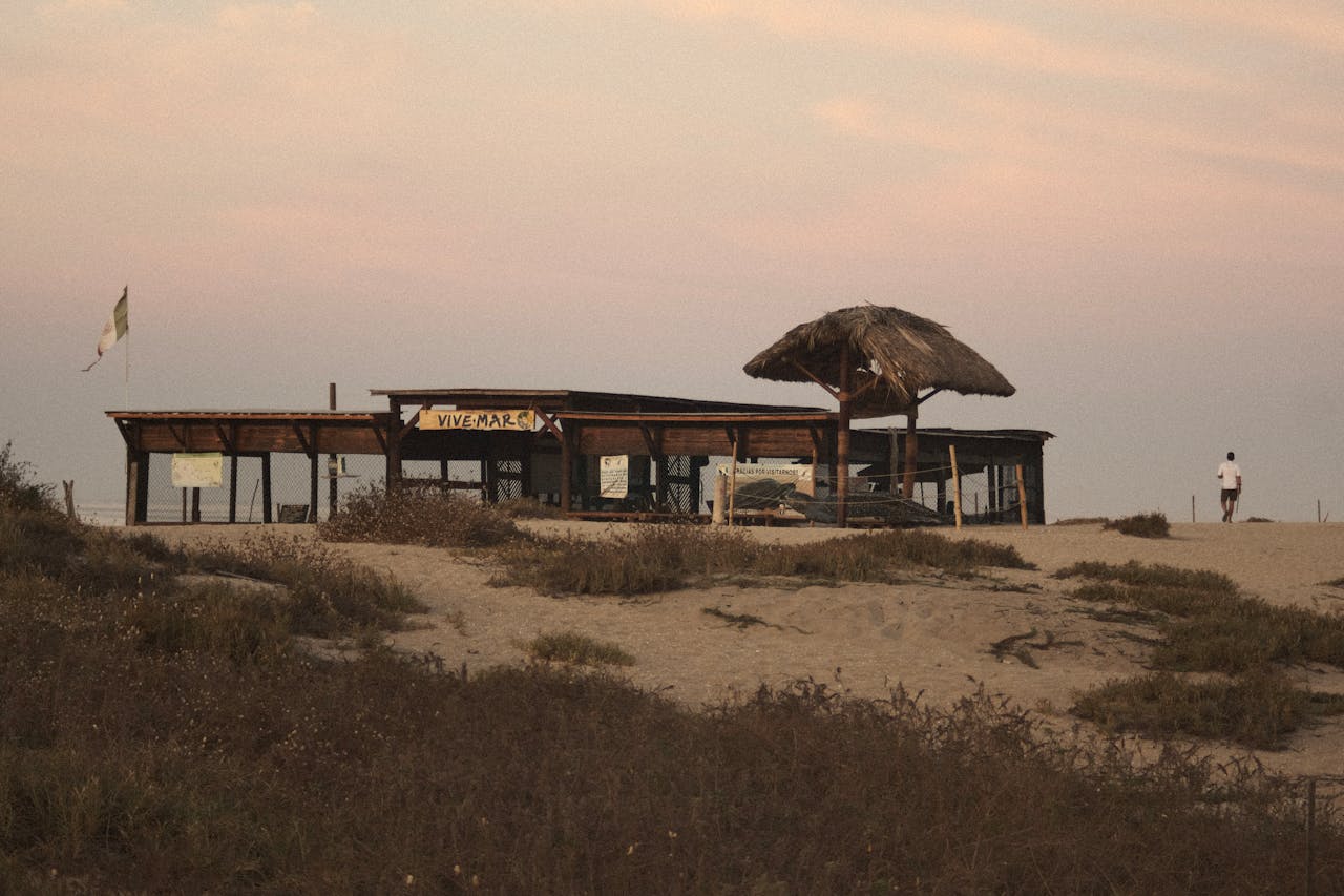 Beach, Viva Mar. Image by Pexels