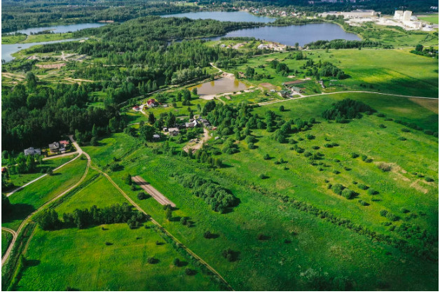 arial view of green land