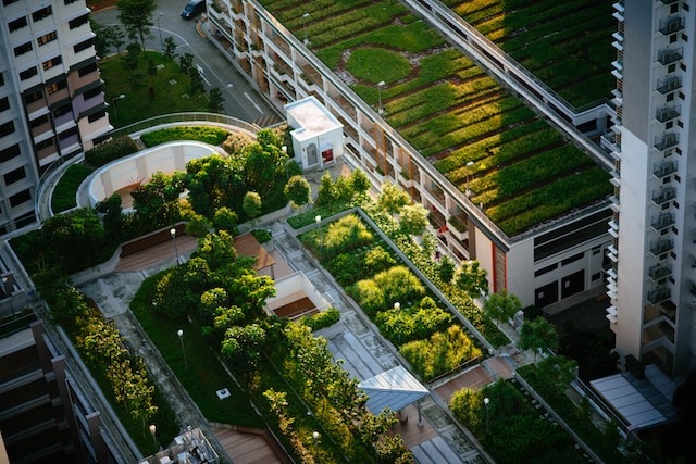 Building with trees and bushes on the rooftop