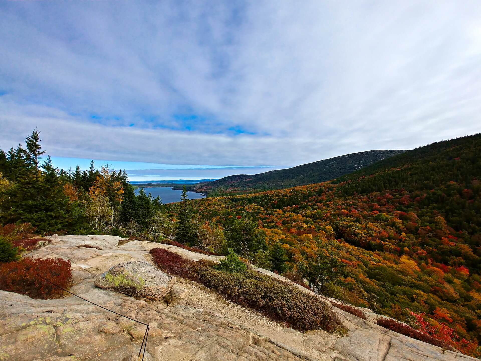 Fall foliage