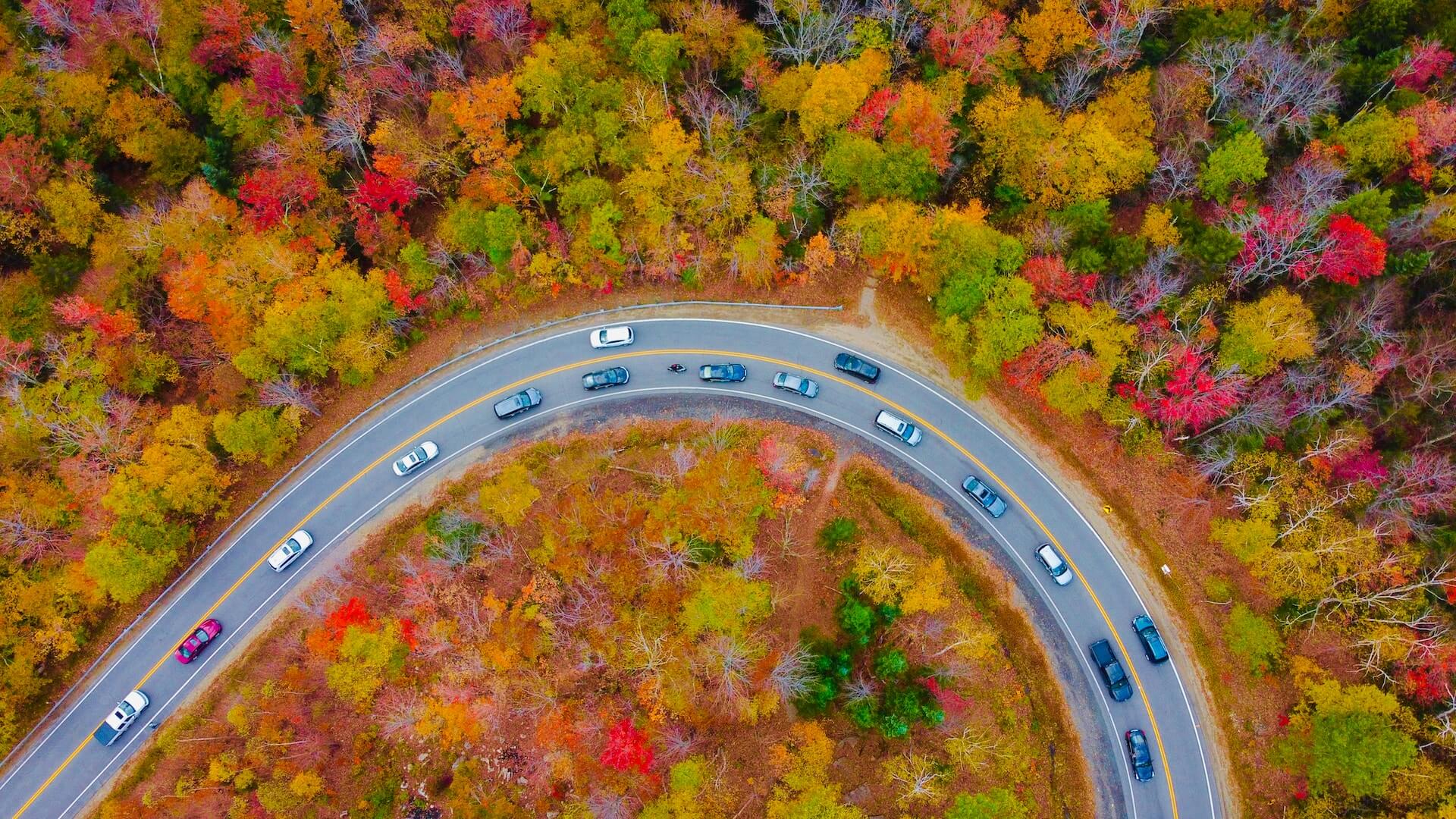 Cars driving, fall foliage