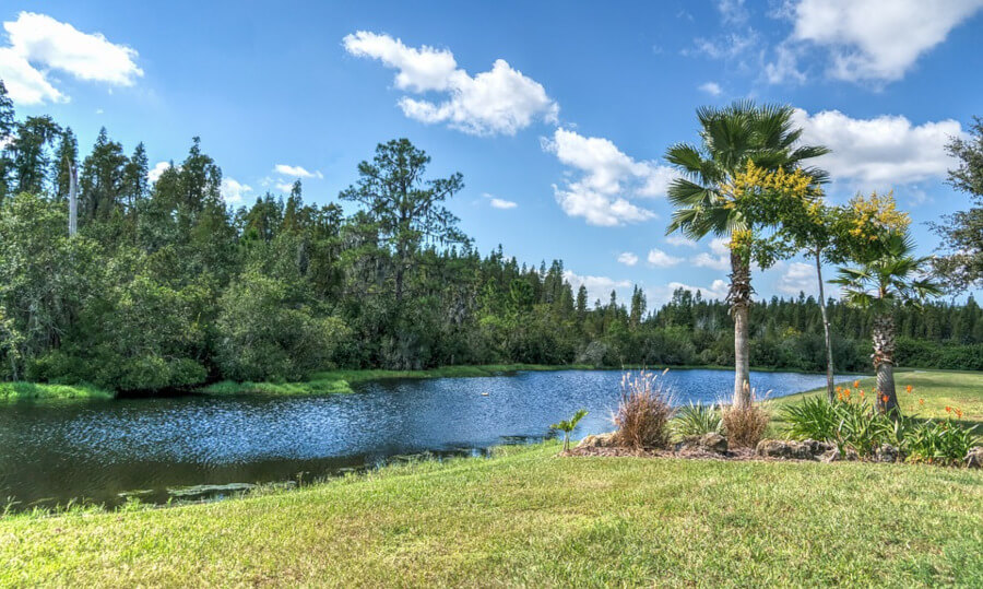 river, trees, grass