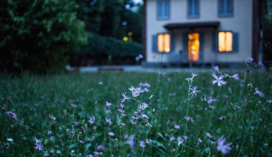 house, flowers, grass