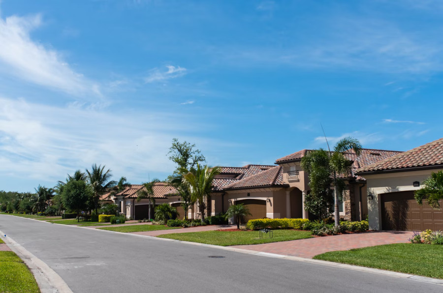 houses on a street, tropical trees