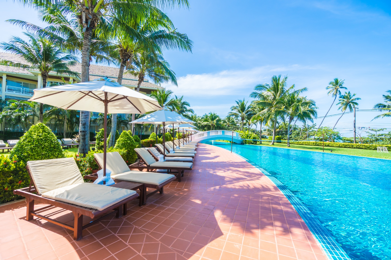 Pool, palm trees, lounge chairs, hotel. Image by Freeepik