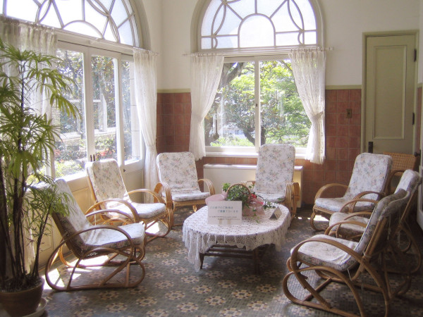 7 chairs, table, plants, windows, conservatory